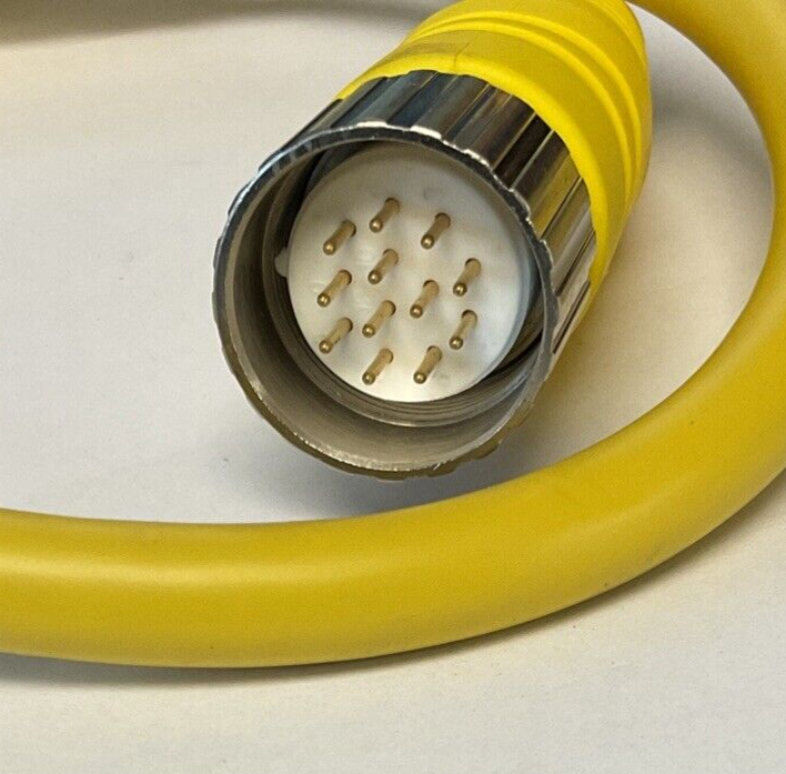 ALLEN BRADLEY 899M-F12AHMU-0M6 PATCHCORD SER.A 12PIN 250V 8A
