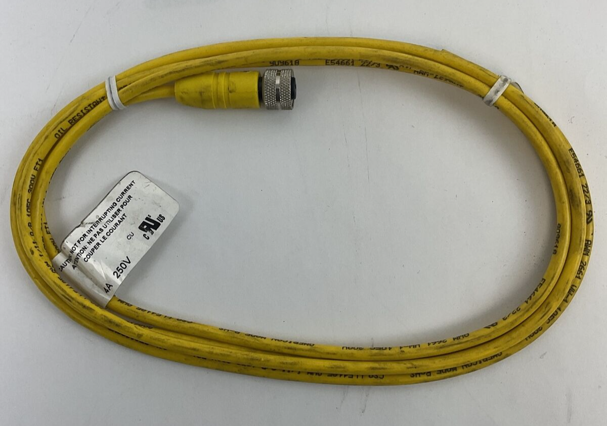 LUMBERGAUTOMATION RKT 3 U-618/6F CORD CABLE  4A 250V