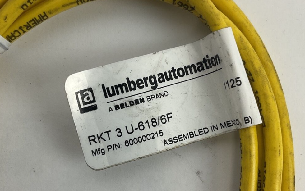 LUMBERGAUTOMATION RKT 3 U-618/6F CORD CABLE  4A 250V