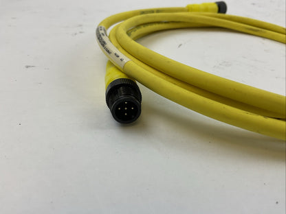 ALLEN BRADLEY 889D-F5UCDM-2 QD CORDSET SER B 250V 4A