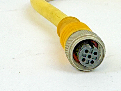 TURCK - U-46571 - M12 EUROFAST 5 PIN DOUBLE-ENDED 0.3 METER CORDSET