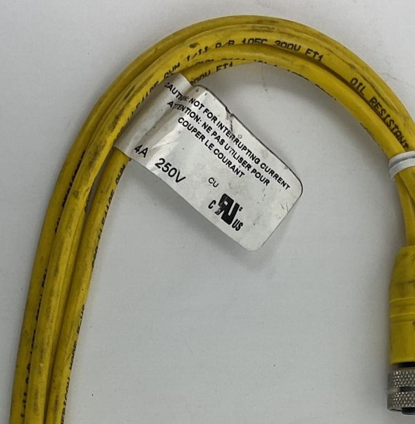 LUMBERGAUTOMATION RKT 3 U-618/6F CORD CABLE  4A 250V