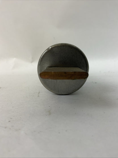LITTELFUSE FLSR 125 ID 75-600VAC 125AMP INDICATOR FUSE