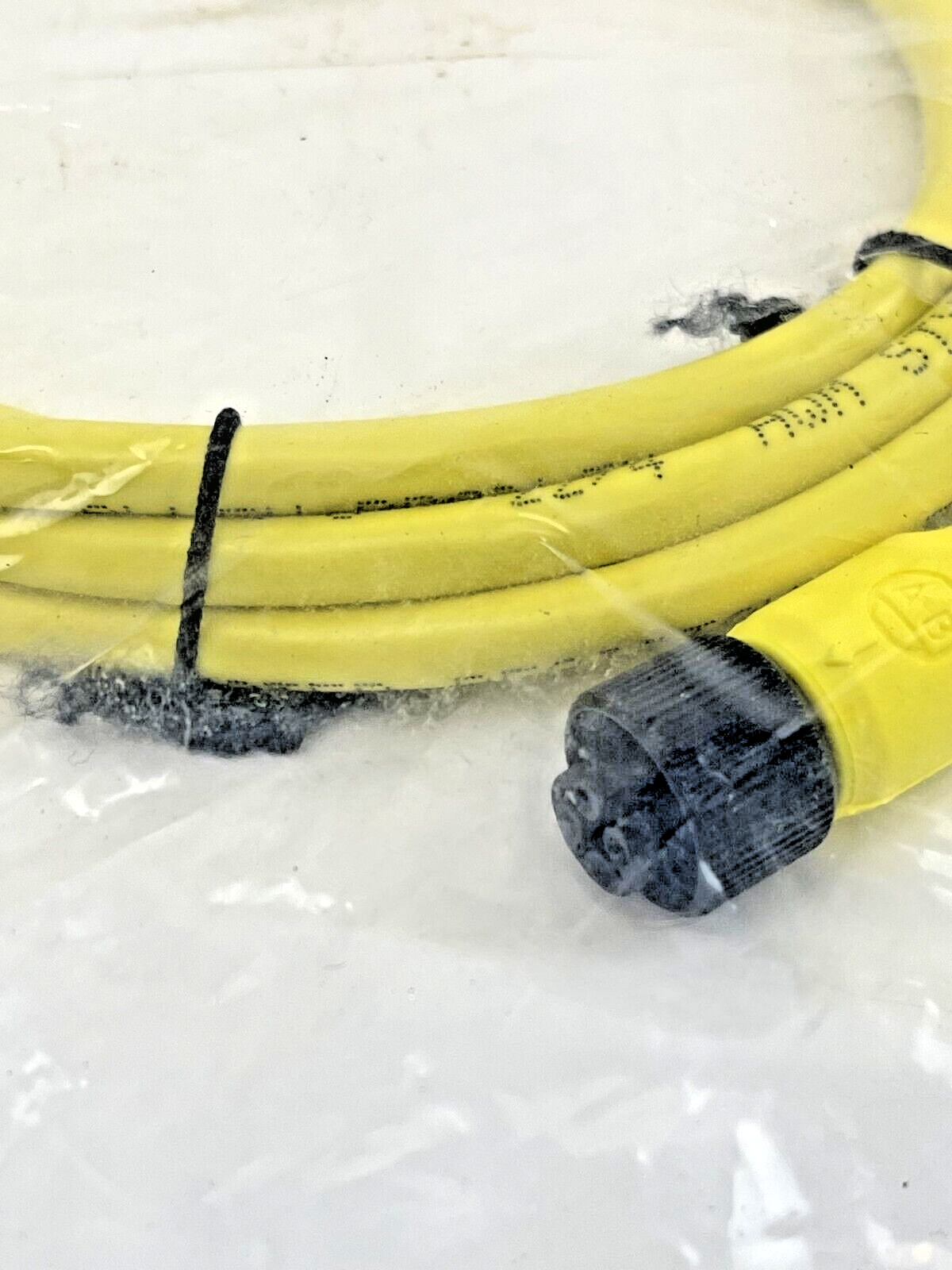 ALLEN BRADLEY - 889D-F4AC-2 SER B - QD CORDSET - 4 PIN, DC MICRO, STRAIGHT, 2 M