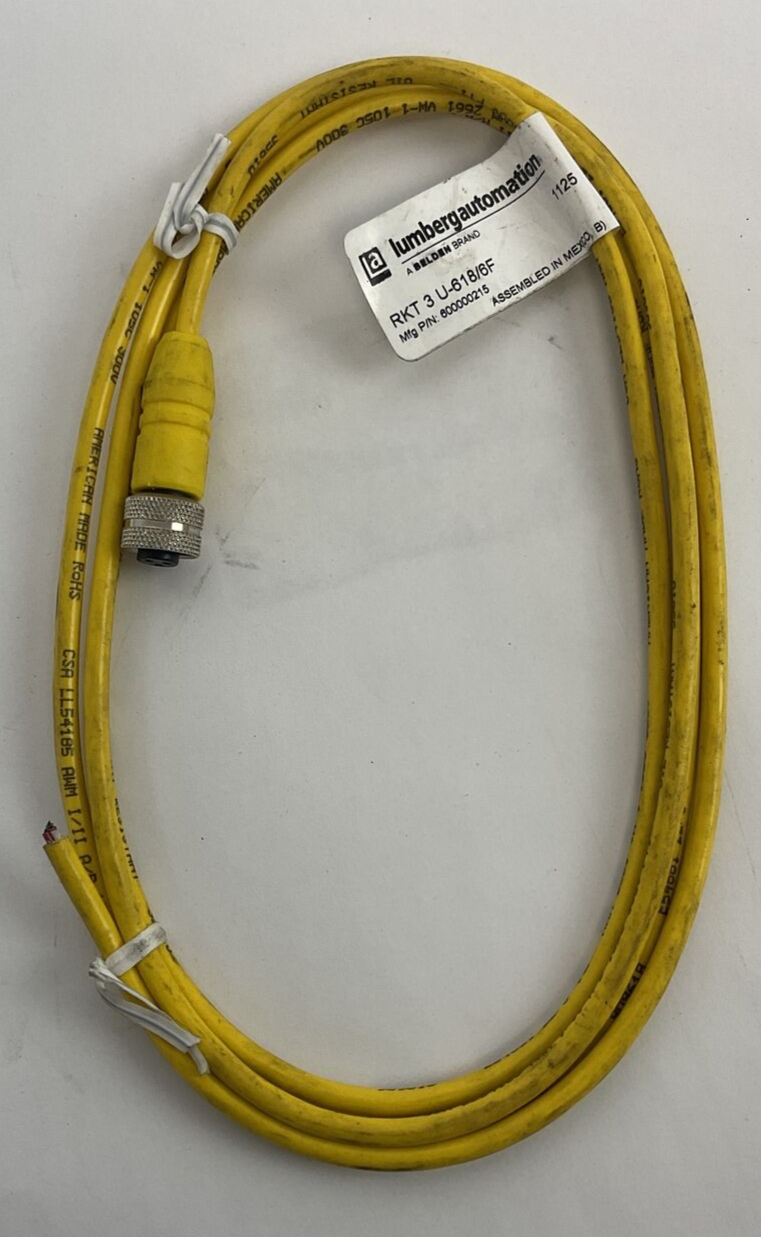 LUMBERGAUTOMATION RKT 3 U-618/6F CORD CABLE  4A 250V