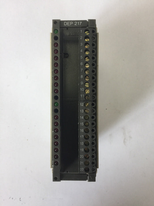 AEG MODICON DEP217/AS-BDEP-217 INPUT MODULE DISCRETE INPUT, TRUELOW 16 X 24 VDC