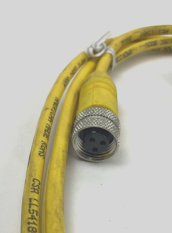 LUMBERGAUTOMATION RKT 3 U-618/6F CORD CABLE  4A 250V
