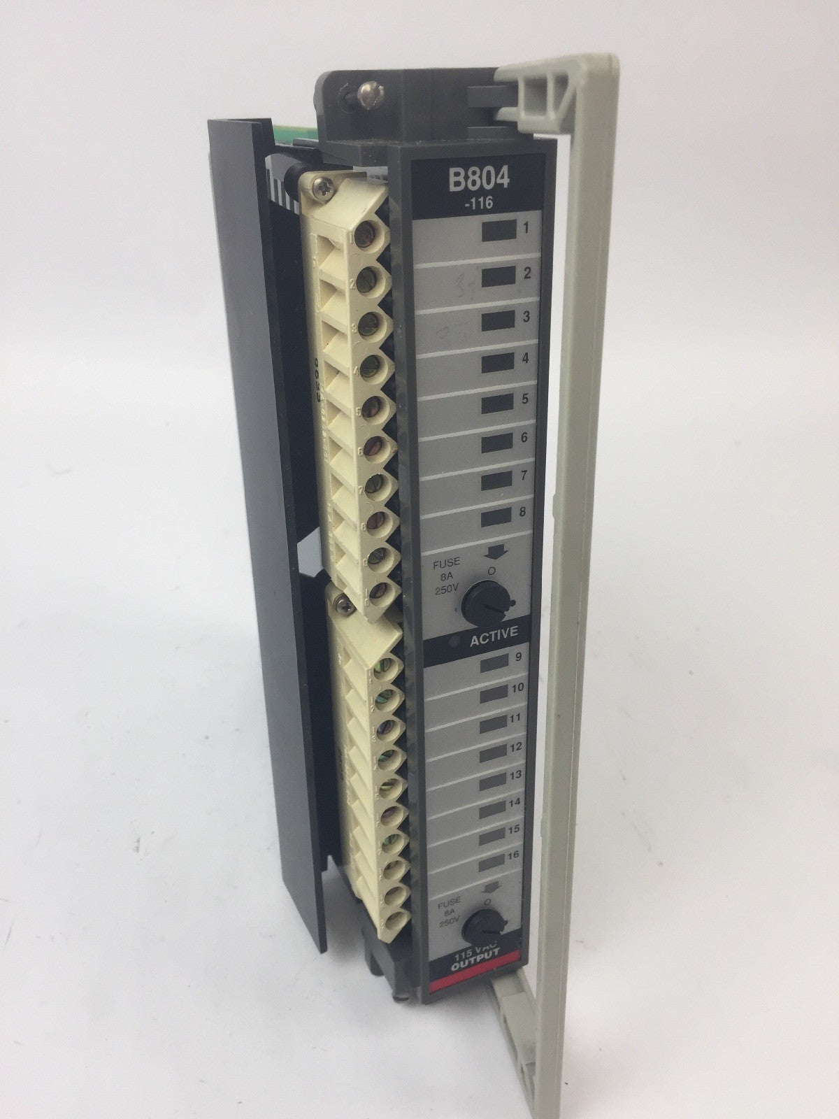 AEG MODION SCHNEIDER AS-B804-116 OUTPUT MODULE 115VAC