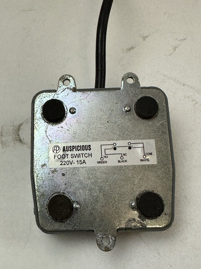 INDUSTRIAL IMPULSE FOOT HEAT SEALER 18' 110V ANV TWIN TIMER