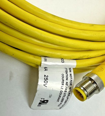 LUMBERG AUTOMATION RST 4-RKT 4-602/10M RST 4-RKT 4-S798/10M DOUBLE-ENDED CORDSET