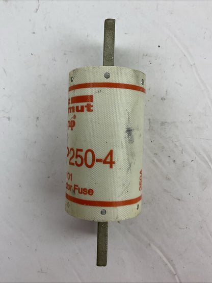 FERRAZ SHAWMUT AMP-TRAP A100P250-4 FORM 101 SEMICONDUCTOR FUSE 250A 1000VAC