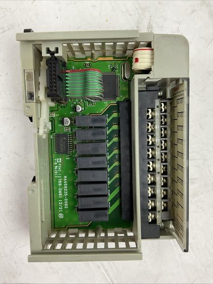 ALLEN BRADLEY 1769-OW8I SER B F/W REV 3.1 DIR/VER 95320768/04 8PT ISOLATED FORM