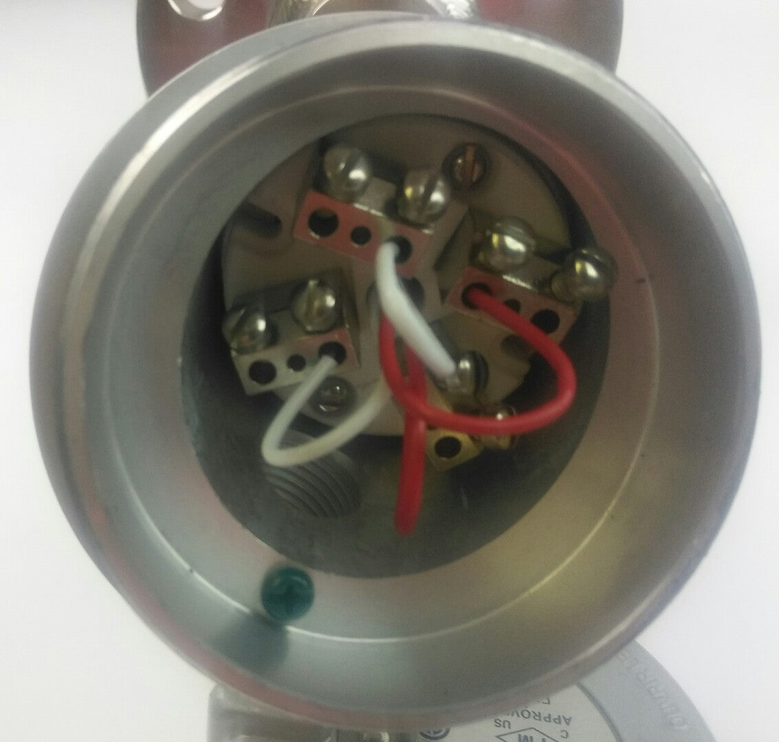 DAILY INSTRUMENTS, THERMOCOUPLES & RESISTANCE TEMPERATURE DETECTOR (RTD), NEW