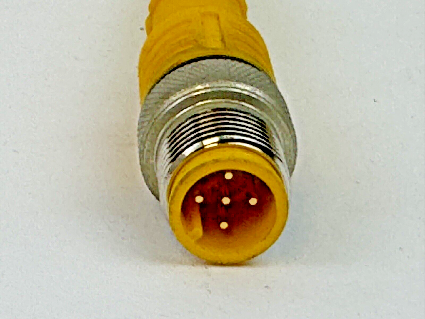 TURCK - U-46571 - M12 EUROFAST 5 PIN DOUBLE-ENDED 0.3 METER CORDSET