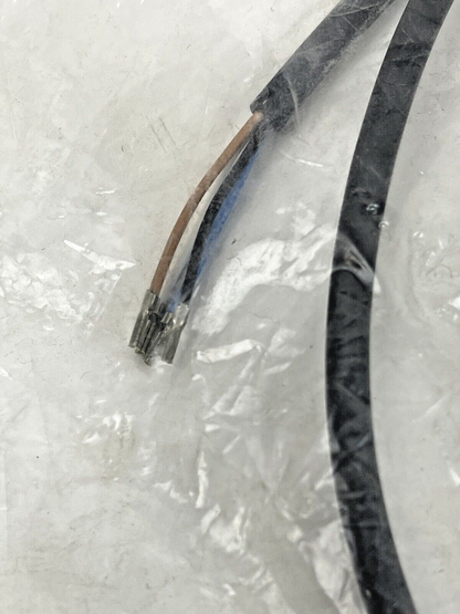 IFM ELECTRONICS - ECOMAT - EVC001 - CONNECTOR - 250V AC/ 300V DC - 2M - CORDSET
