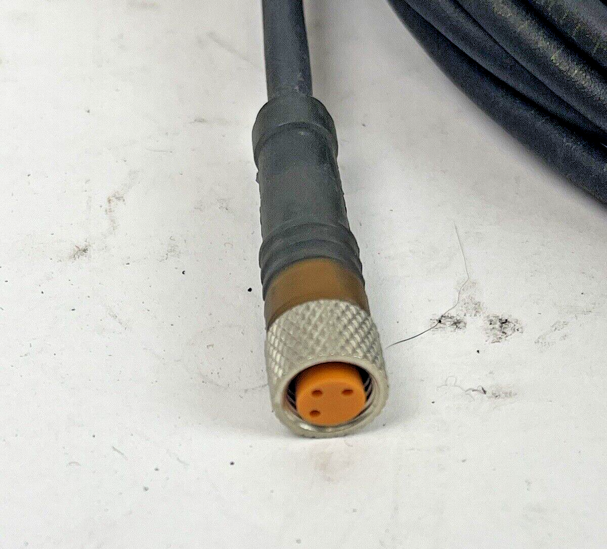 LUMBERG AUTOMATION *LOT OF 3 * - RKMV 3-224/5 M - ACTUATOR / SENSOR CABLES