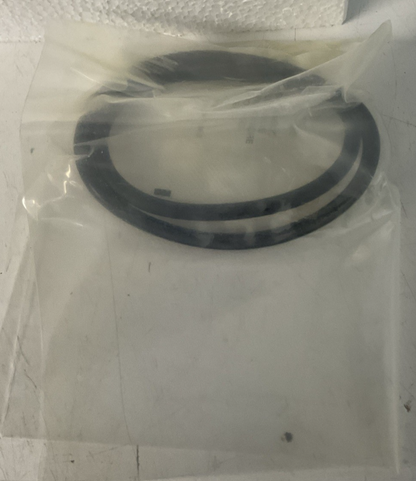WATTS LFRK 909-CK2 4 SECOND CHECK REPAIR KIT