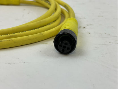 ALLEN BRADLEY 889D-F5UCDM-2 QD CORDSET SER B 250V 4A