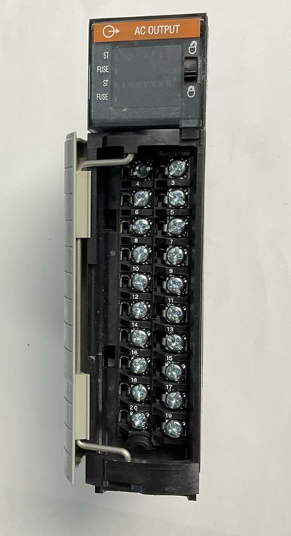 ALLEN BRADLEY 1756-0A16/A AC OUTPUT 120/240VAC 50/60HZ 0.5A 1756-0A16 SER.A