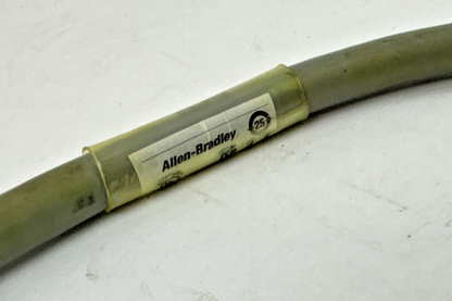 ALLEN BRADLEY 1492-CONCAB005Y WIRE MODULE CABLE 160VAC 12A SER.A