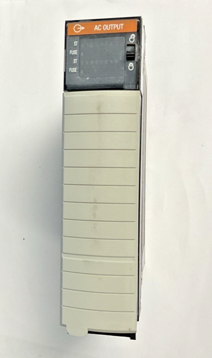 ALLEN BRADLEY 1756-0A16/A AC OUTPUT 120/240VAC 50/60HZ 0.5A 1756-0A16 SER.A
