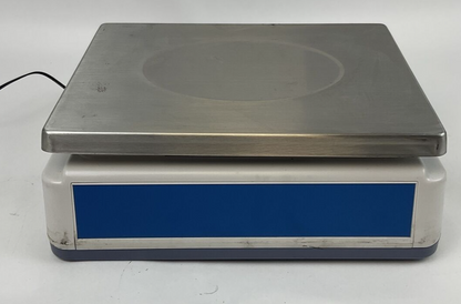WORLD WEIGHT C100/60 12V 500MA 60LBS