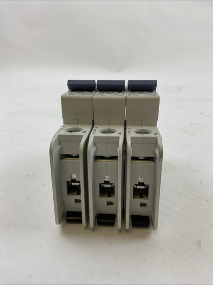 ALLEN BRADLEY 1489-A1D050 SER A CIRCUIT BREAKER 277VAC 48VDC 5AMP (LOT OF 3)