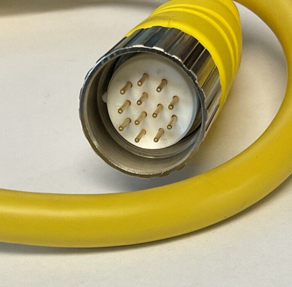 ALLEN BRADLEY 899M-F12AHMU-0M6 PATCHCORD SER.A 12PIN 250V 8A